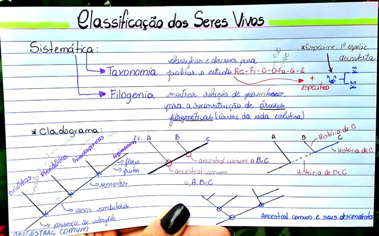 Mapa Mental Sobre Taxonomia Maps Study