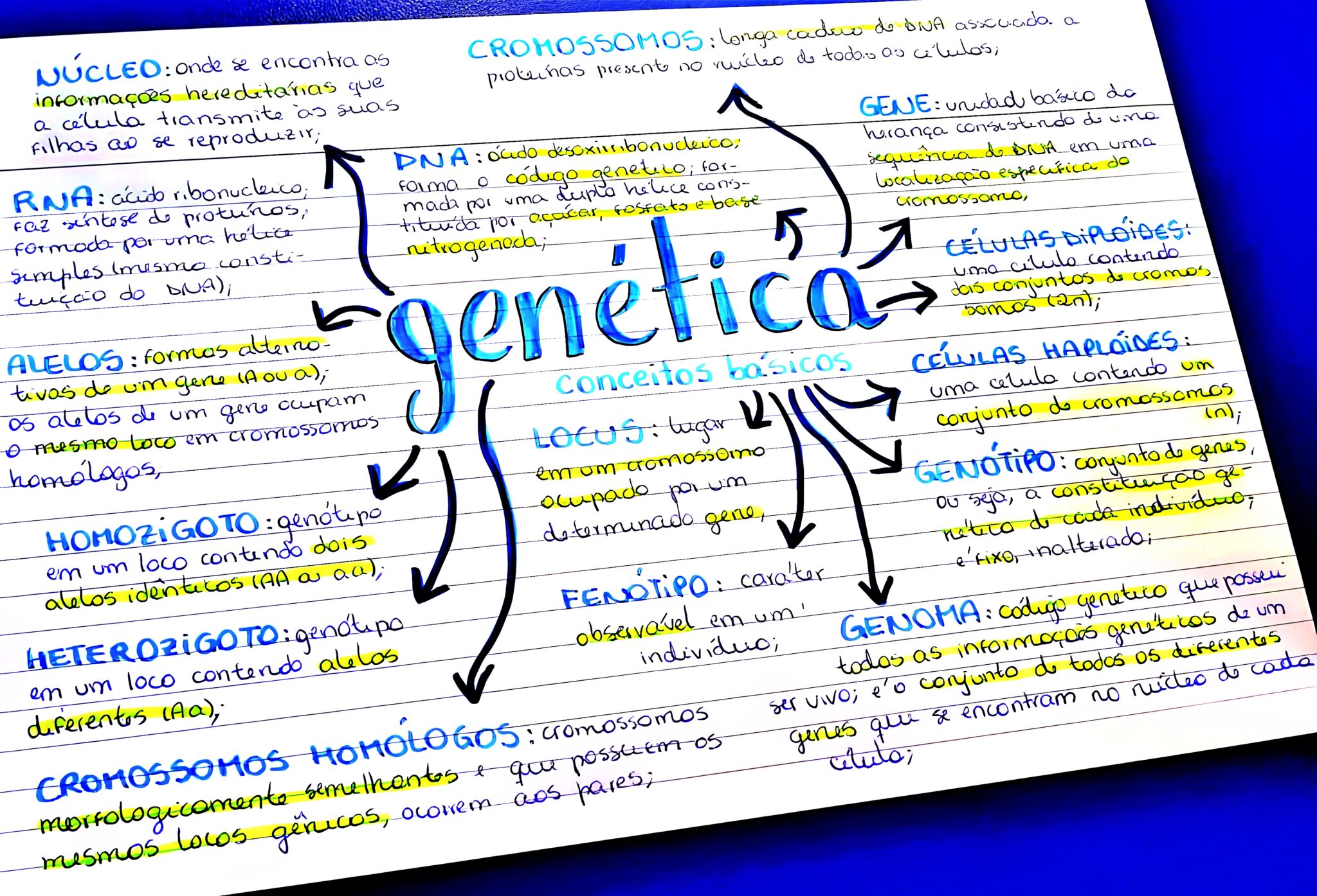 MAPA MENTAL SOBRE GENÉTICA Maps4Study