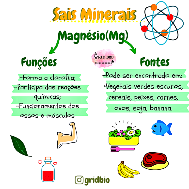 Mapa Mental Sobre Sais Minerais Maps Study