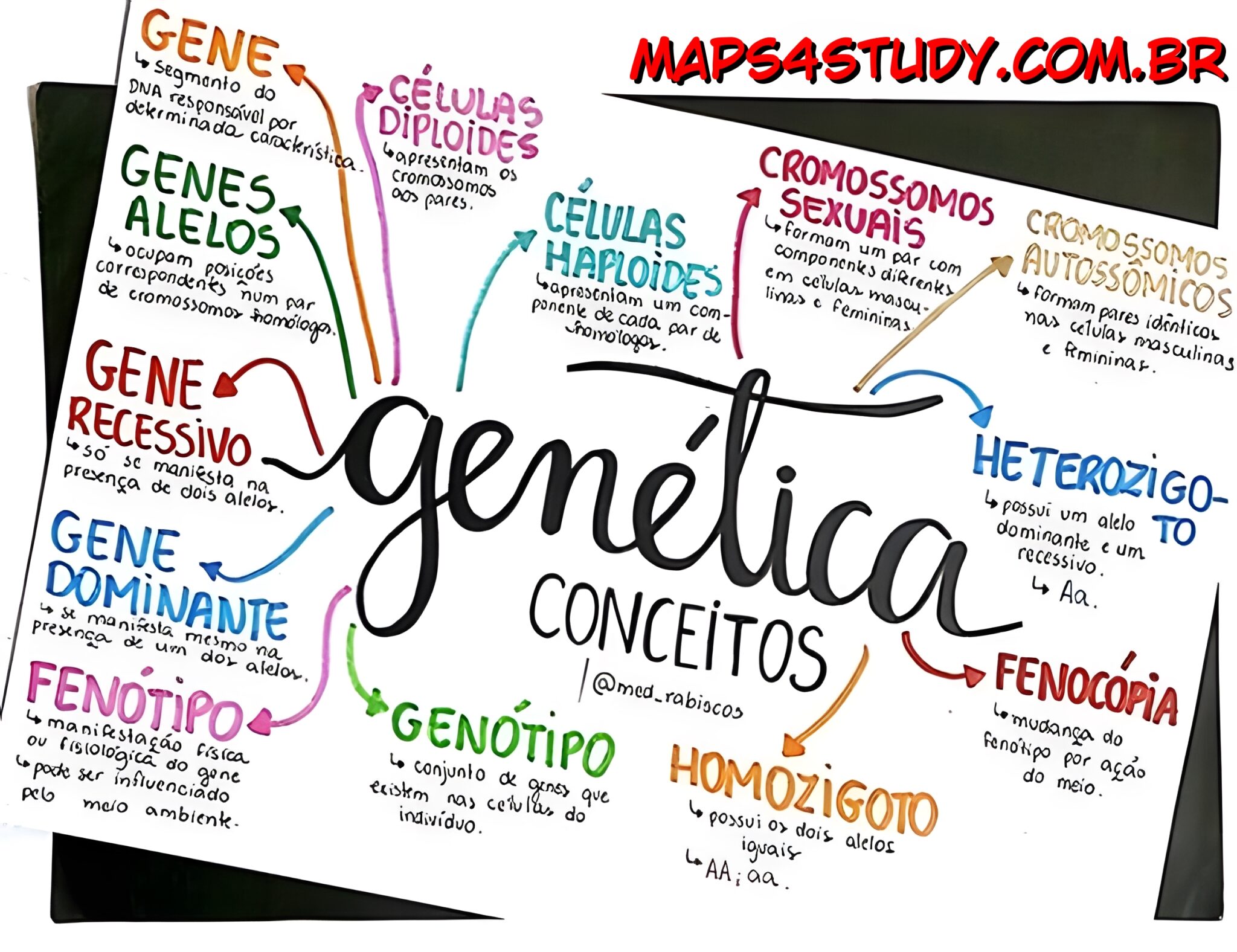 Mapa Mental Sobre Gen Tica Maps Study