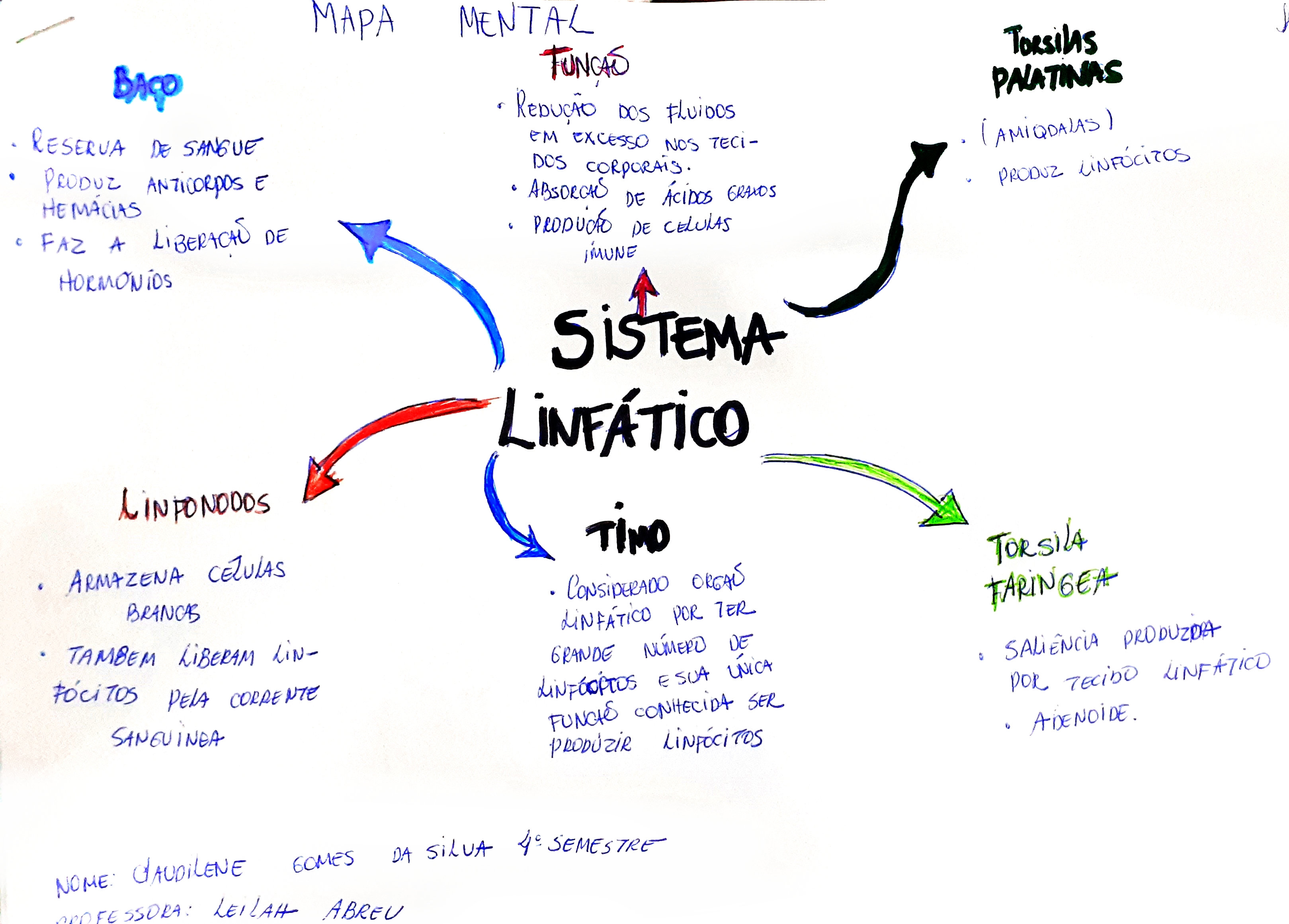 Mapa Mental Sobre Sistema Linf Tico Maps Study