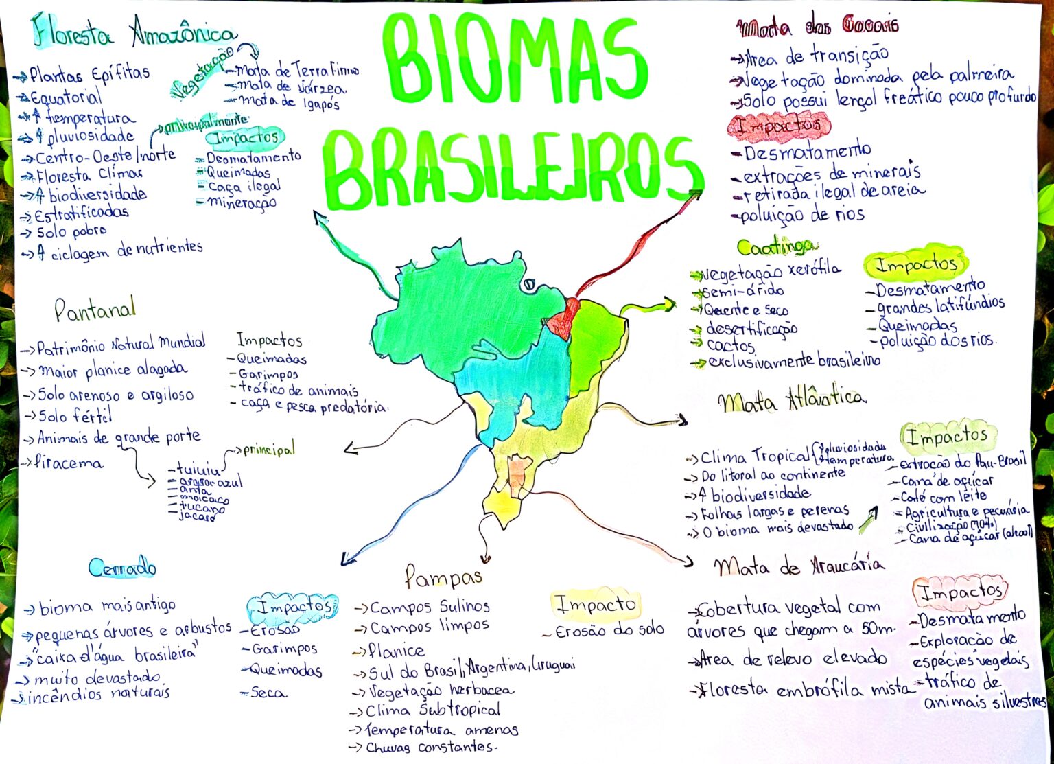 MAPA MENTAL SOBRE BIOMAS BRASILEIROS Maps4Study