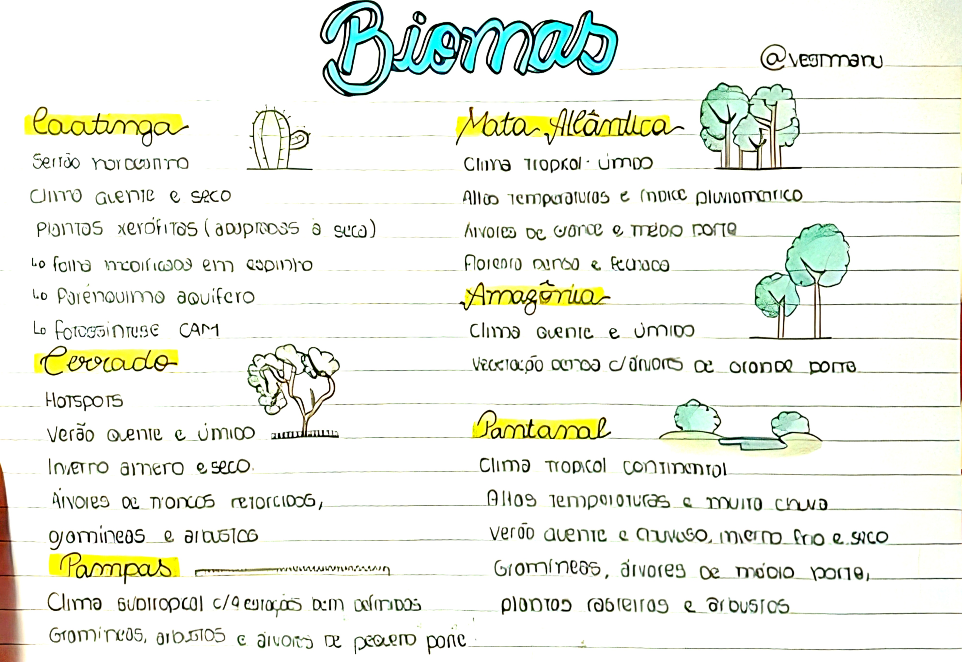 MAPA MENTAL SOBRE BIOMAS BRASILEIROS Maps4Study