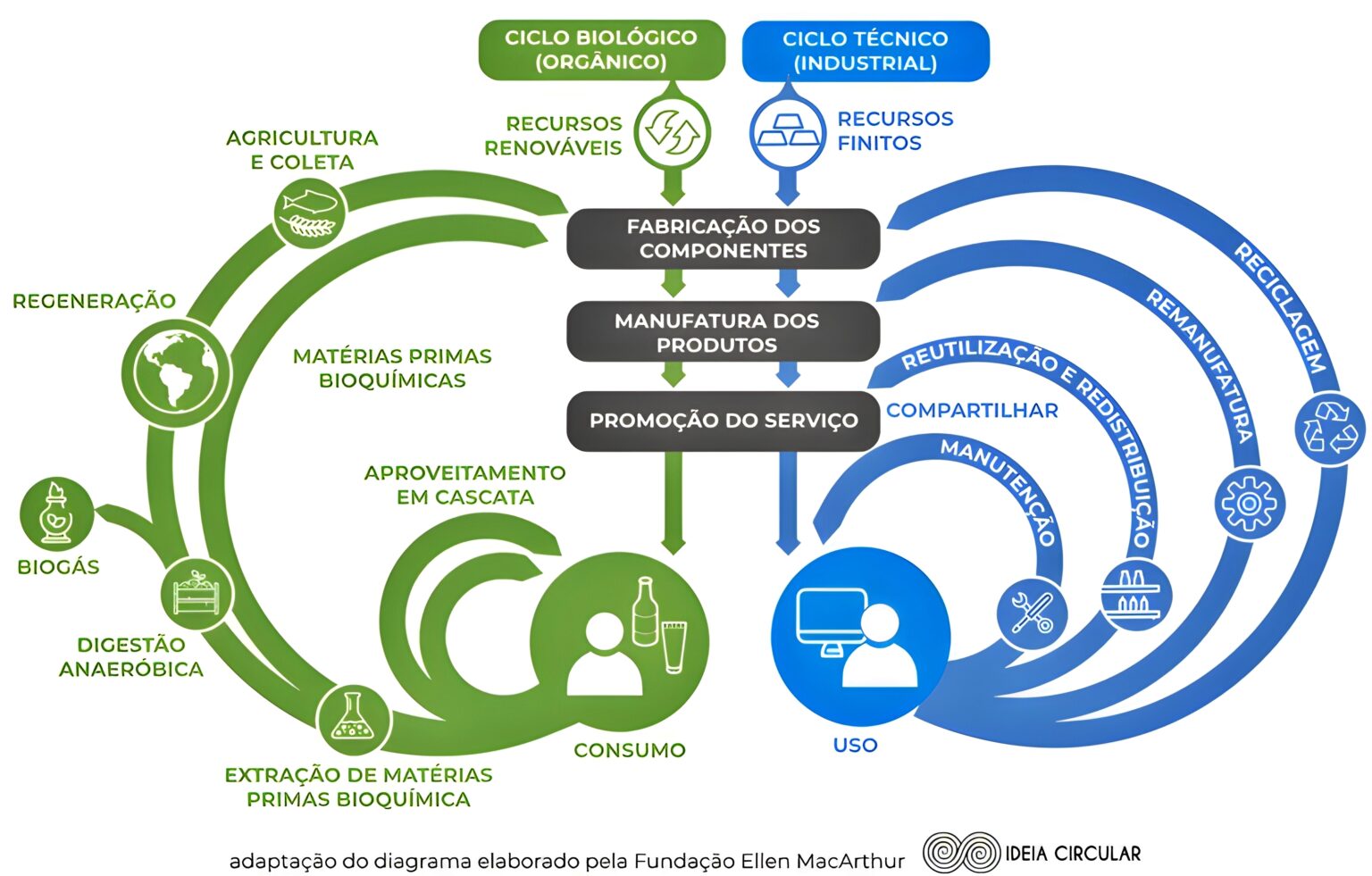 Mapa Mental Sobre Economia Circular Maps Study