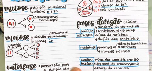 MAPA MENTAL SOBRE DIVISÃO CELULAR