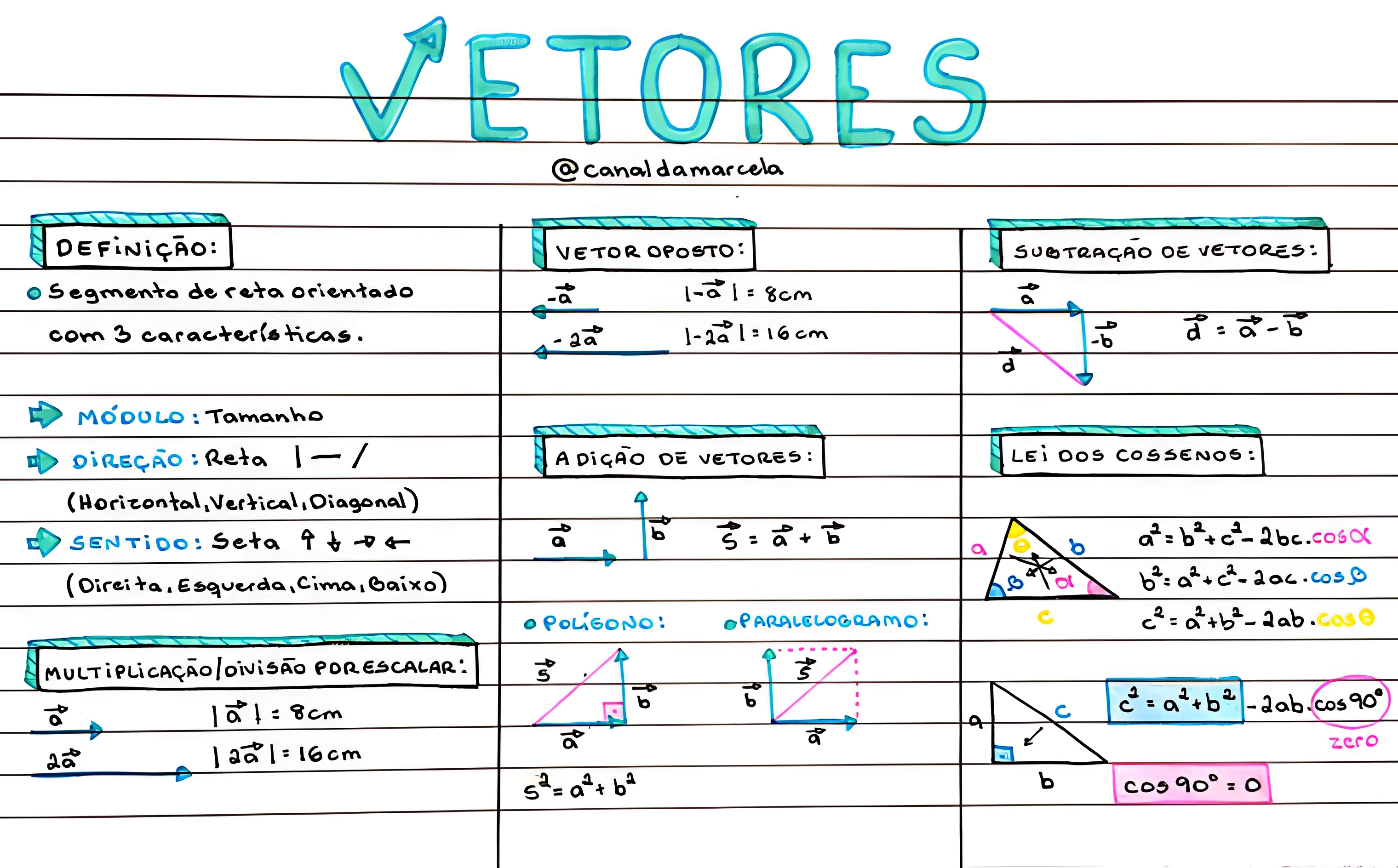 Mapa Mental Sobre Vetores - BRAINCP