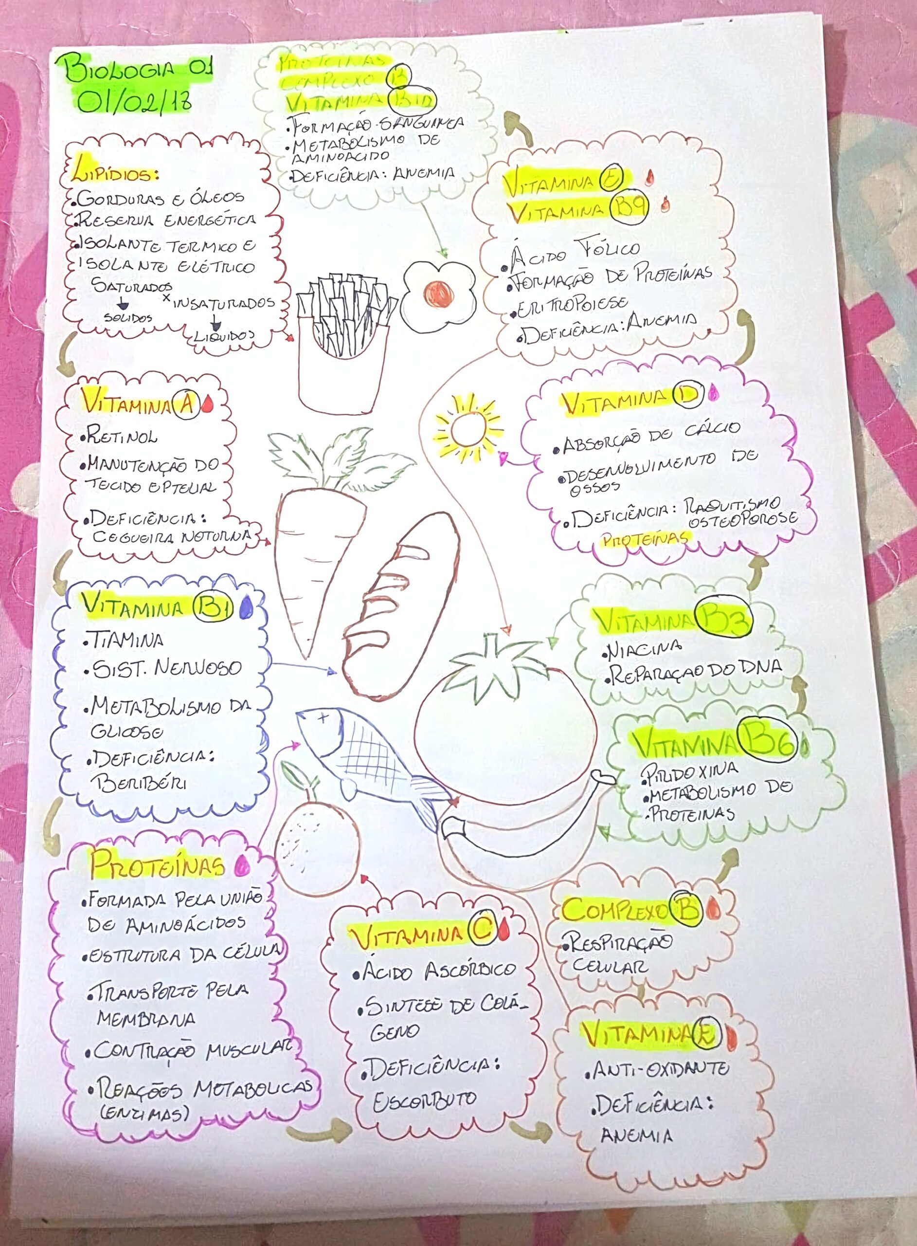 MAPA MENTAL SOBRE VITAMINAS - Maps4Study