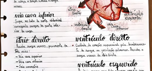 MAPA MENTAL SOBRE SISTEMA CARDIOVASCULAR