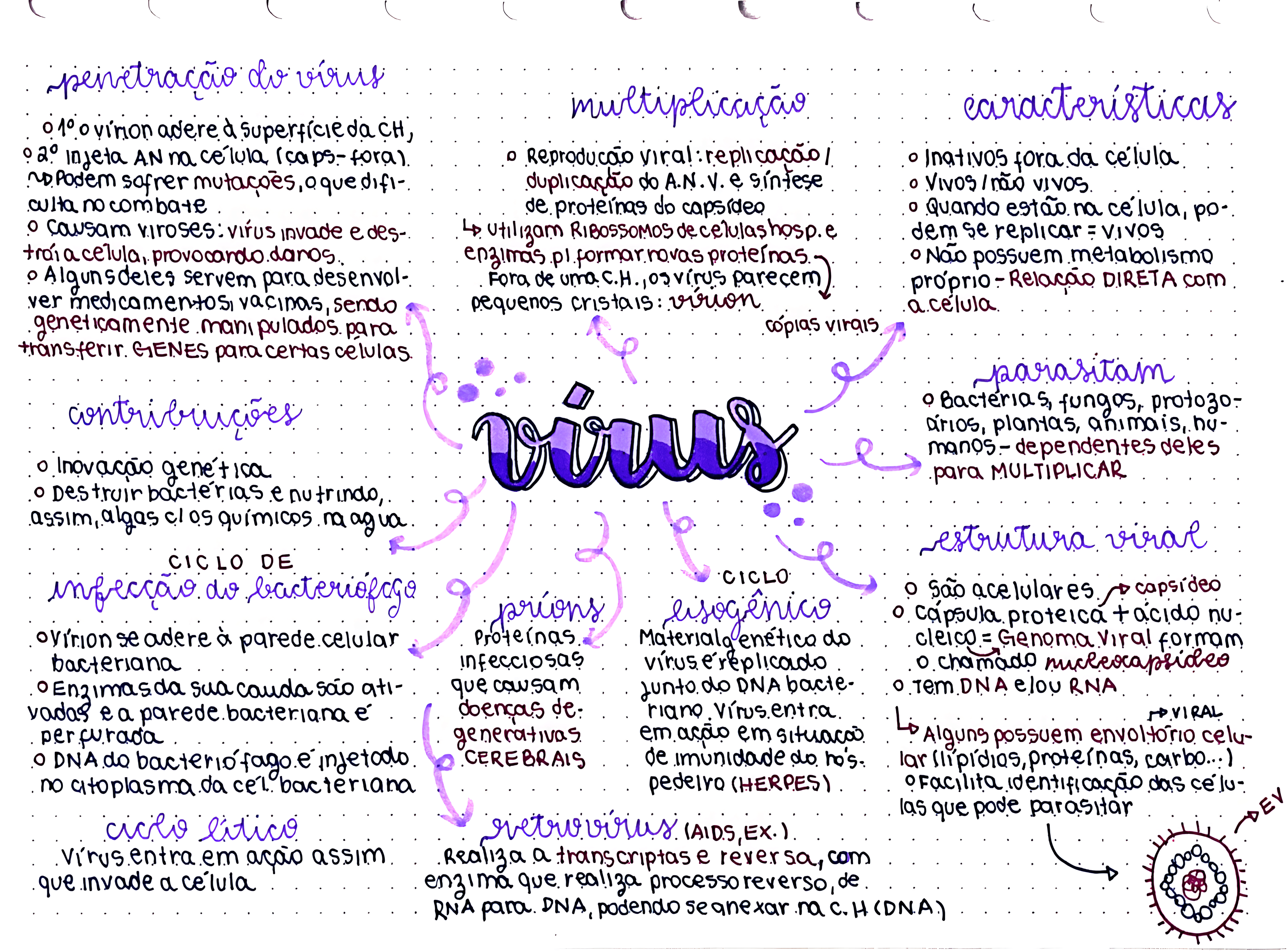 Arriba 58+ Imagen Mapa Mental Virus - Abzlocal.mx