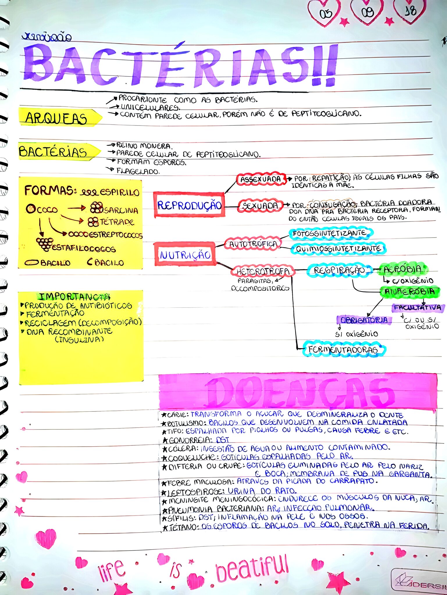 MAPA MENTAL SOBRE BACTÉRIAS - Maps4Study