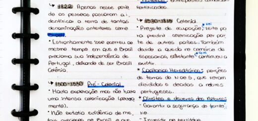 MAPA MENTAL SOBRE PERÍODO COLONIAL