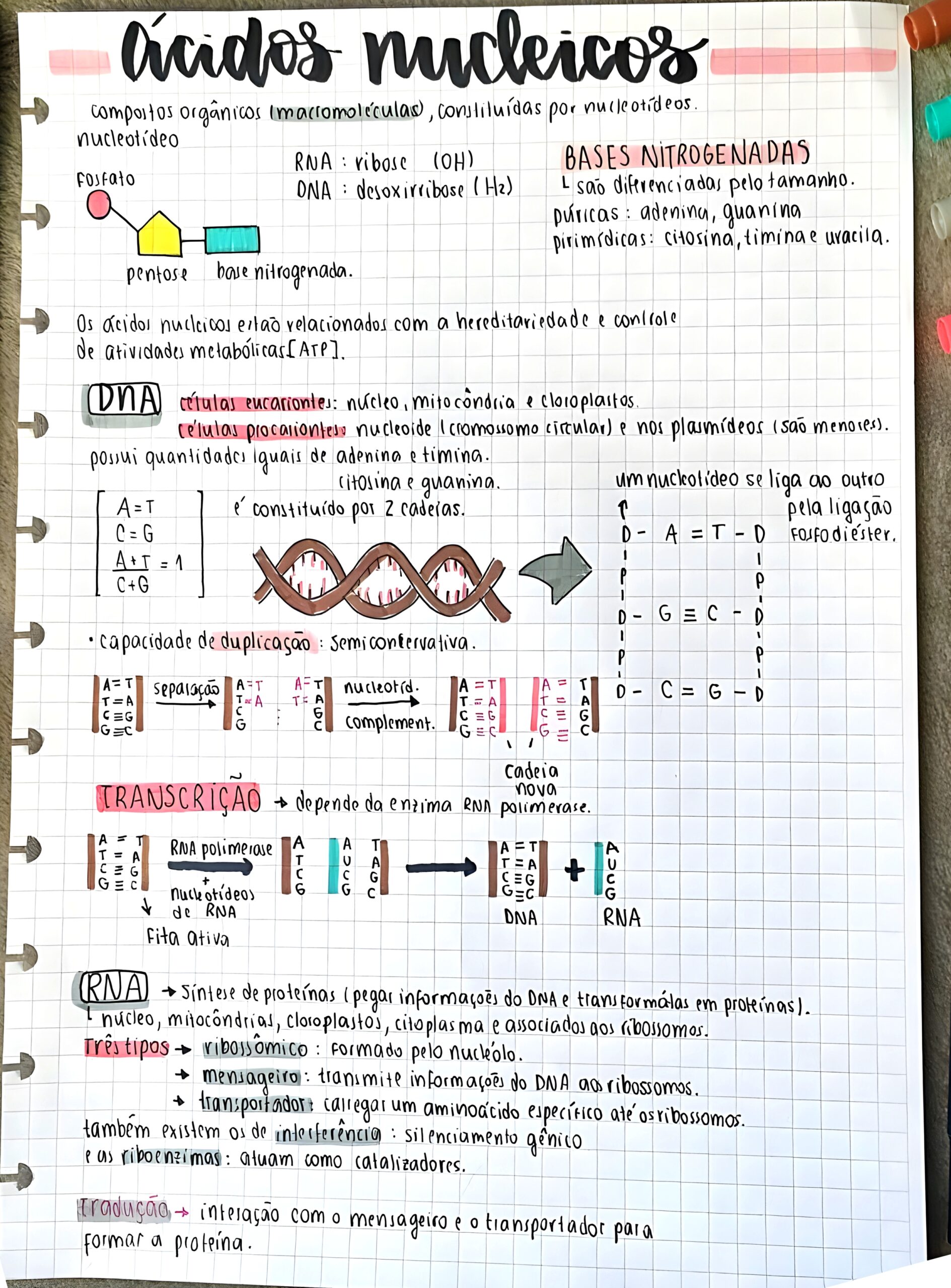 MAPA MENTAL SOBRE ÁCIDOS NUCLEICOS: DNA E RNA - Maps4Study