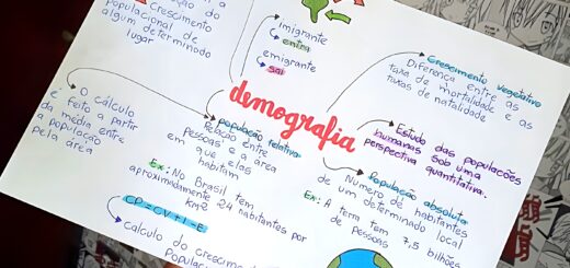 MAPA MENTAL SOBRE DEMOGRAFIA
