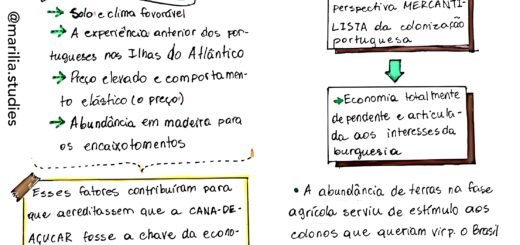 MAPA MENTAL SOBRE ECONOMIA COLONIAL