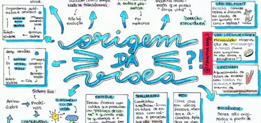 MAPA MENTAL SOBRE ORIGEM DA VIDA