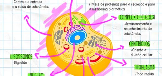 MAPA MENTAL SOBRE CITOLOGIA