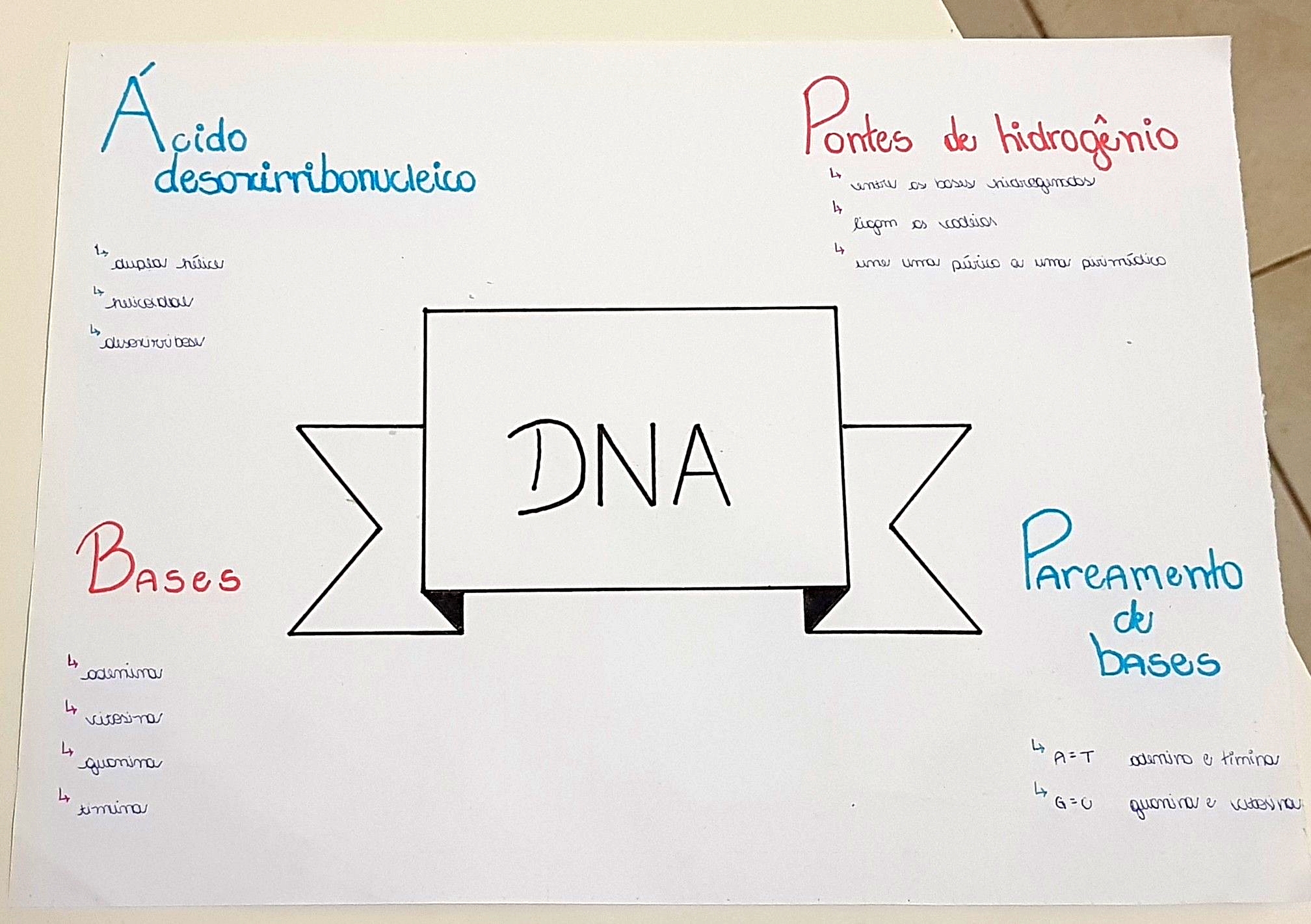 MAPA MENTAL SOBRE ÁCIDOS NUCLEICOS: DNA E RNA - Maps4Study