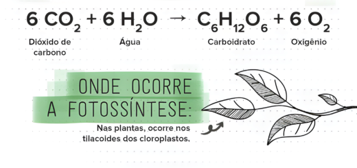 MAPA MENTAL SOBRE FOTOSSÍNTESE