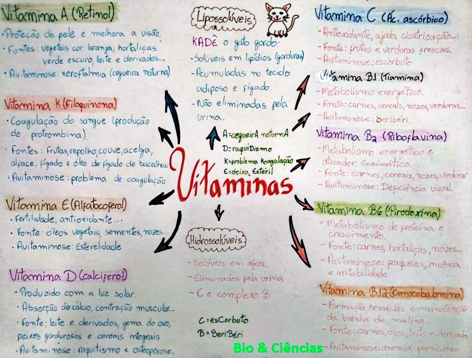 MAPA MENTAL SOBRE VITAMINAS - Maps4Study