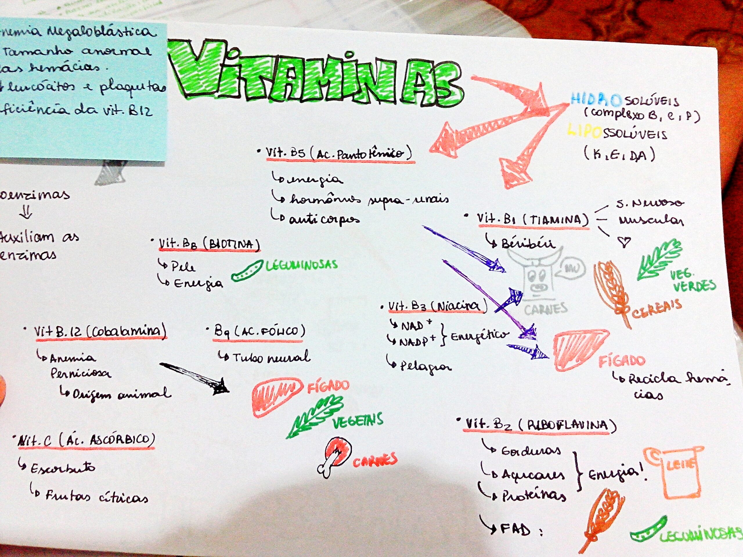 MAPA MENTAL SOBRE VITAMINAS - Maps4Study