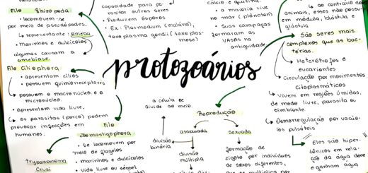 MAPA MENTAL SOBRE PROTOZOÁRIOS