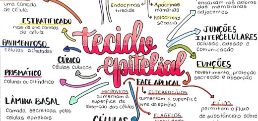 MAPA MENTAL SOBRE TECIDO EPITELIAL