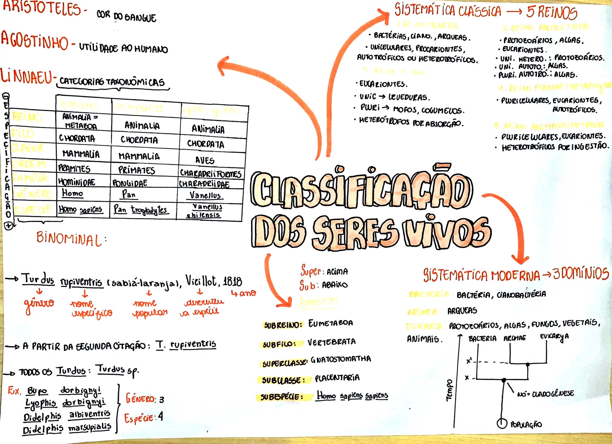 MAPA MENTAL SOBRE CLASSIFICAÇÃO DOS SERES VIVOS - Maps4Study