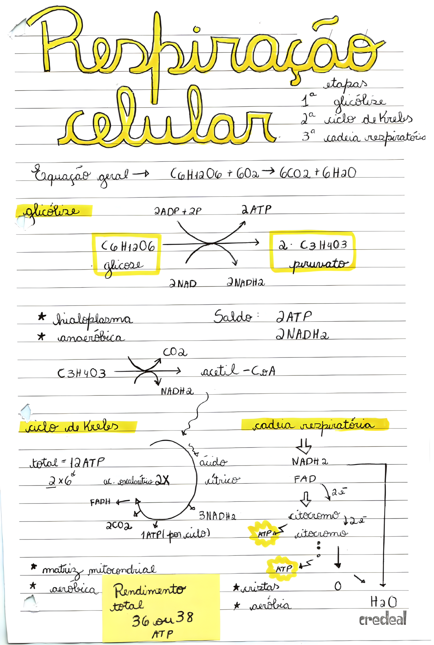 MAPA MENTAL SOBRE RESPIRAÇÃO CELULAR - Maps4Study