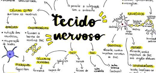 MAPA MENTAL SOBRE TECIDO NERVOSO