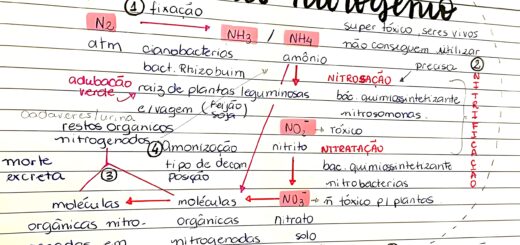 MAPA MENTAL SOBRE CICLO DO NITROGÊNIO