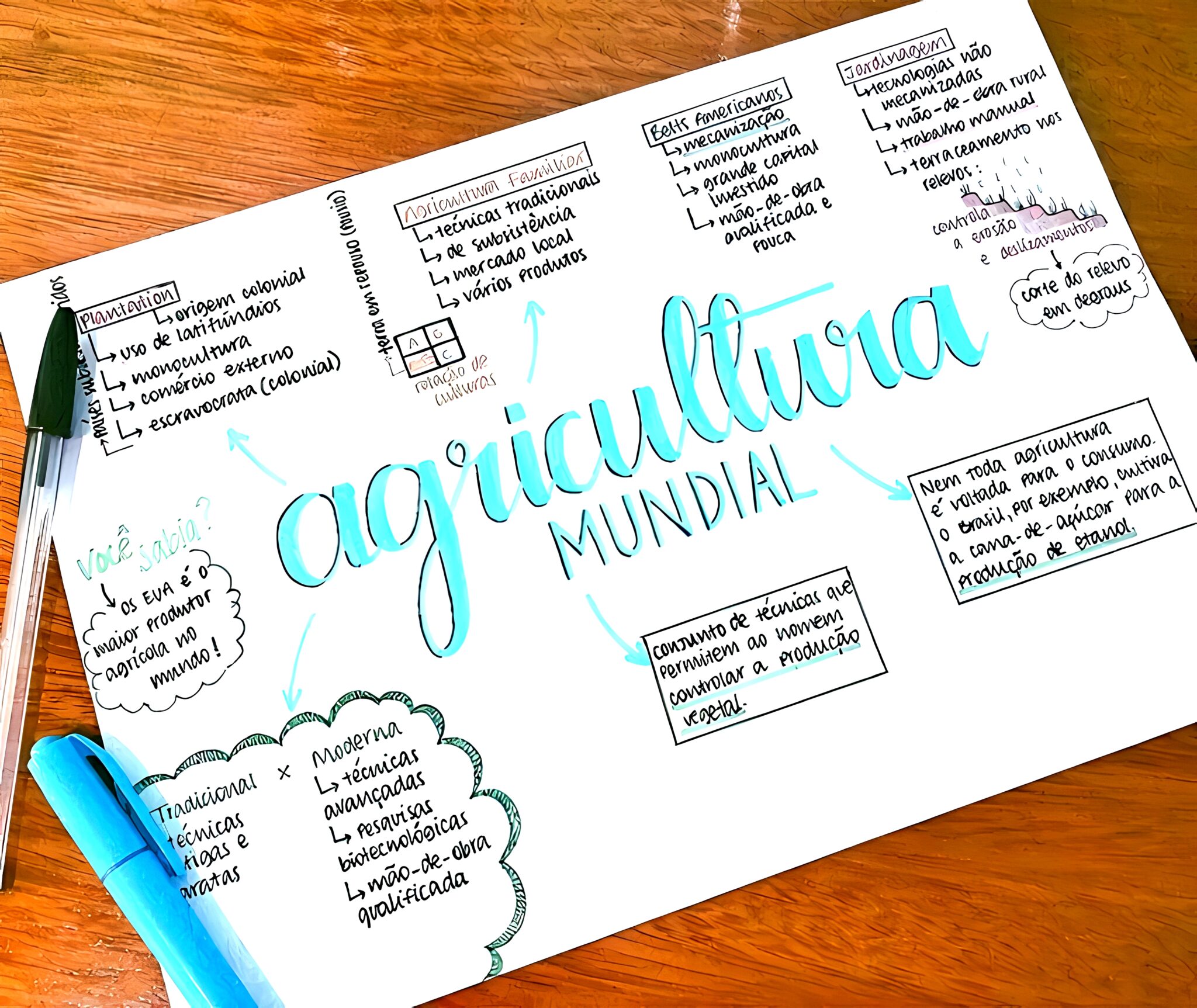 MAPA MENTAL SOBRE AGRICULTURA - Maps4Study