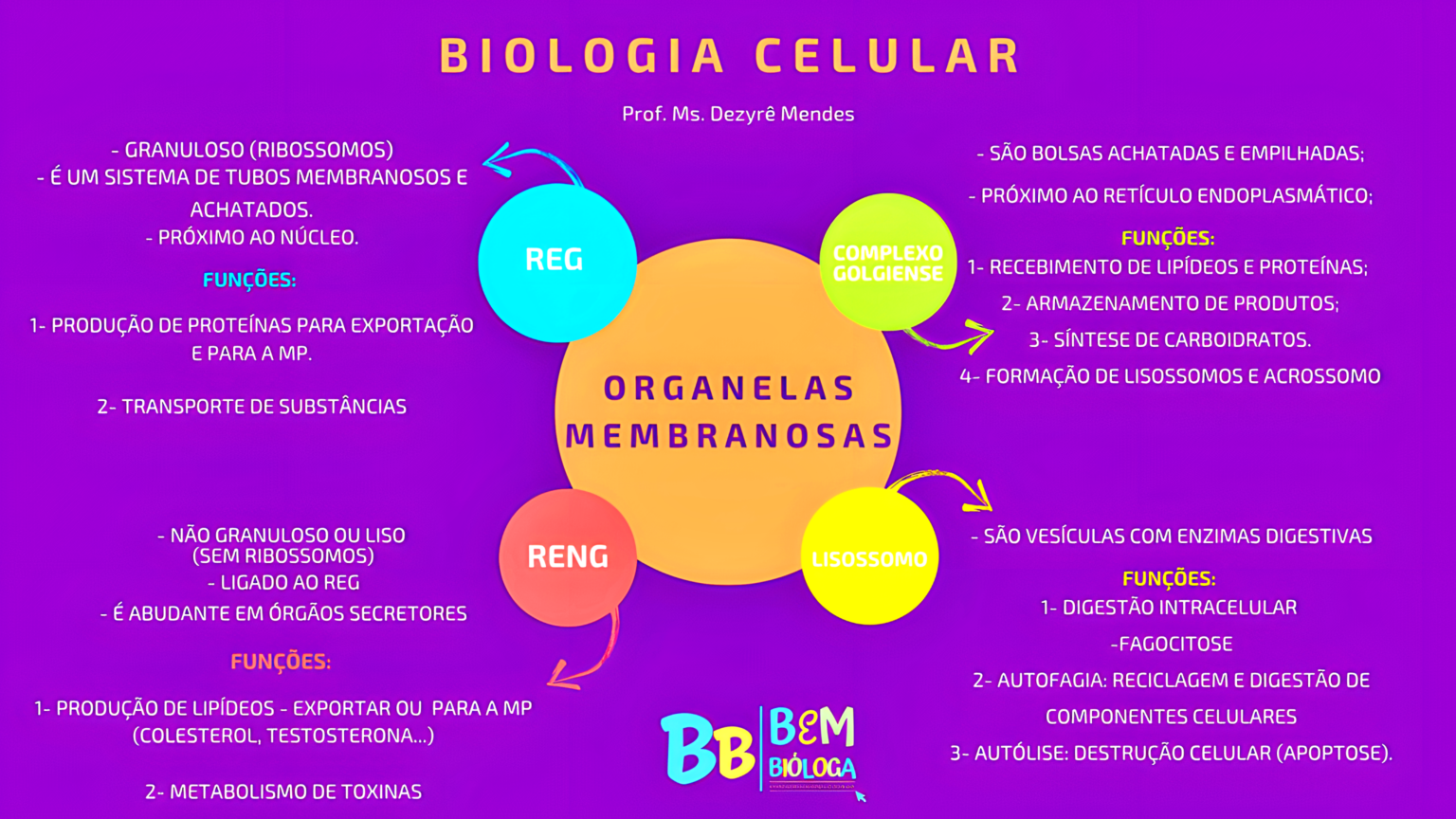 MAPA MENTAL SOBRE ORGANELAS CELULARES/CITOPLASMÁTICAS - Maps4Study