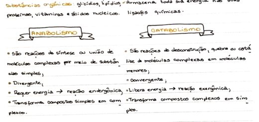 MAPA MENTAL SOBRE METABOLISMO