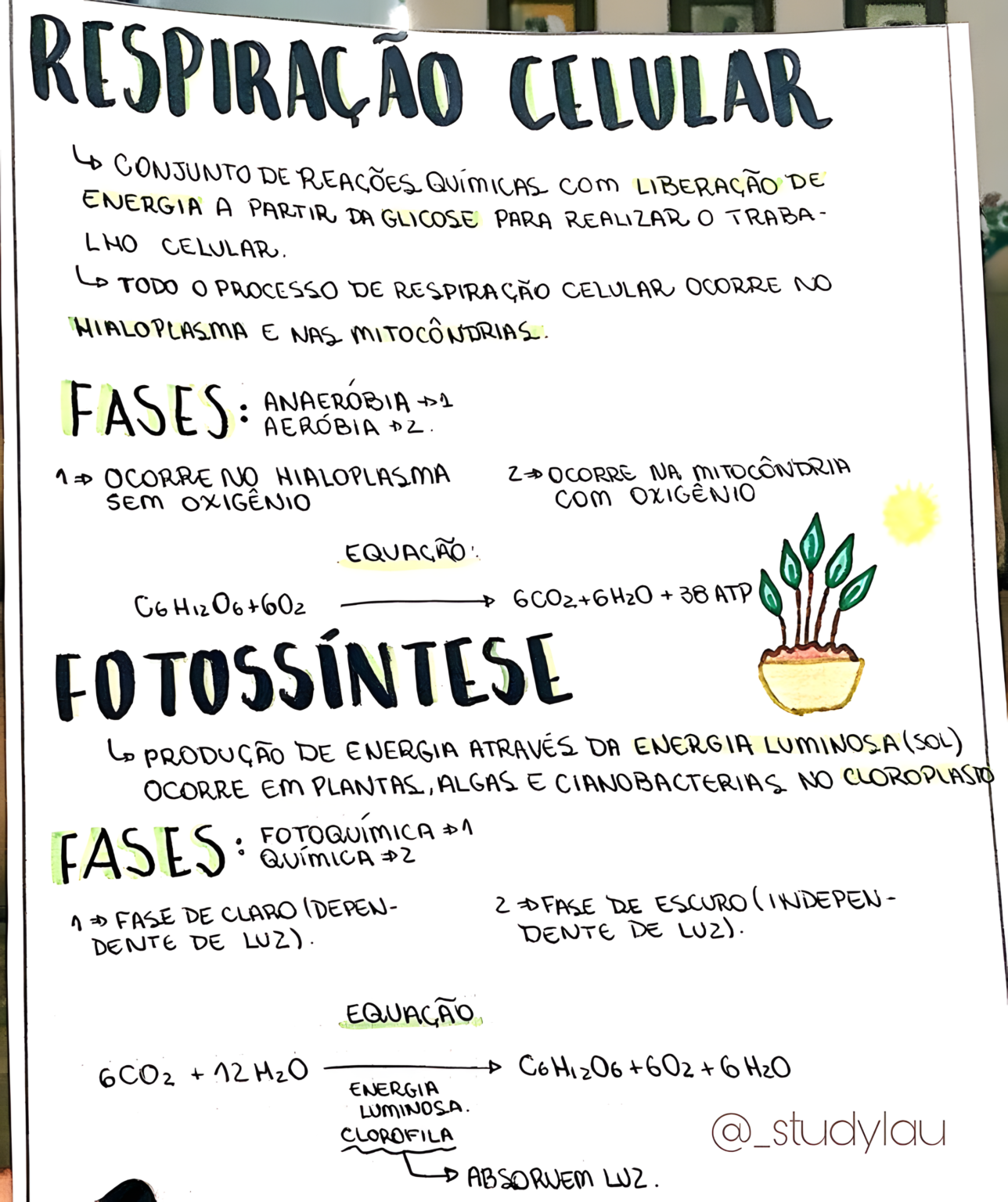 MAPA MENTAL SOBRE RESPIRAÇÃO CELULAR - Maps4Study
