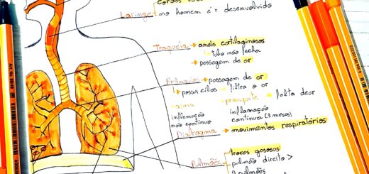 MAPA MENTAL SOBRE SISTEMA RESPIRATÓRIO