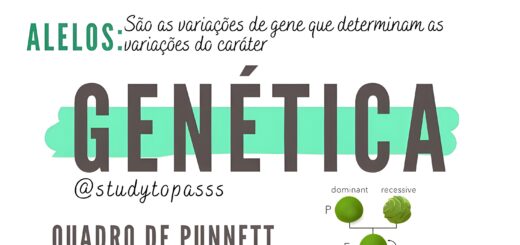 MAPA MENTAL SOBRE GENÉTICA