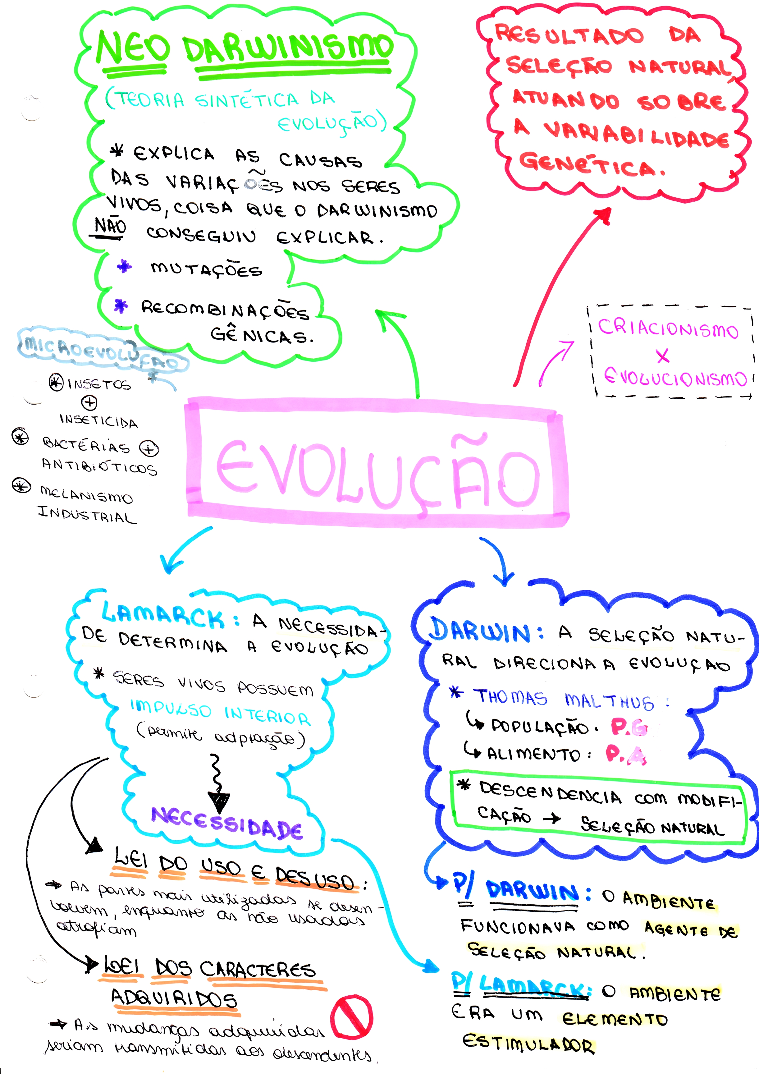 MAPA MENTAL SOBRE EVOLUÇÃO - Maps4Study