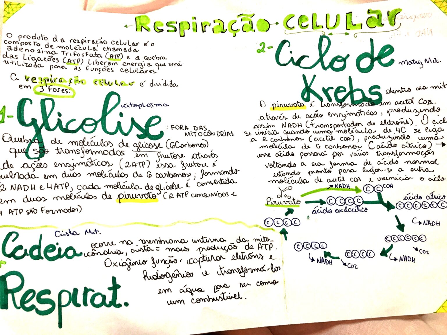 MAPA MENTAL SOBRE RESPIRAÇÃO CELULAR - Maps4Study