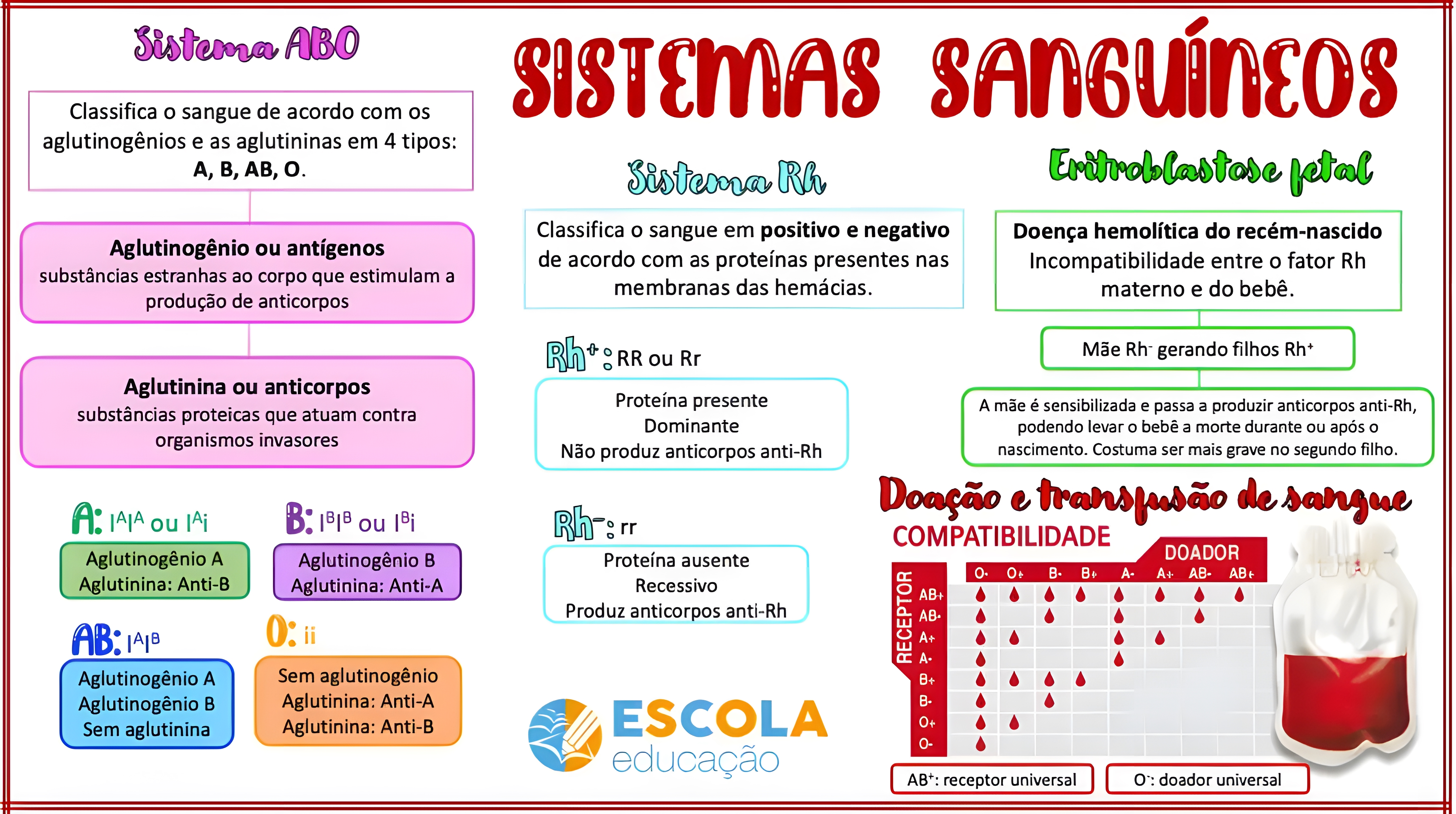 MAPA MENTAL SOBRE GRUPOS SANGUÍNEOS - Maps4Study