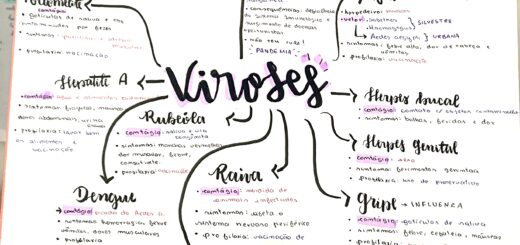 MAPA MENTAL SOBRE VIROSES