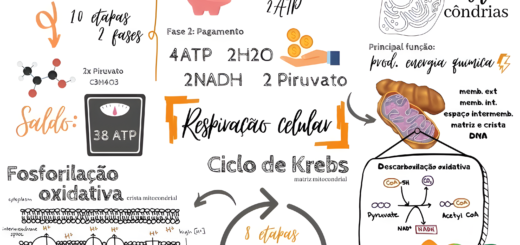 MAPA MENTAL SOBRE RESPIRAÇÃO CELULAR