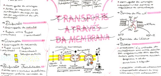 MAPA MENTAL SOBRE TRANSPORTE PELA MEMBRANA