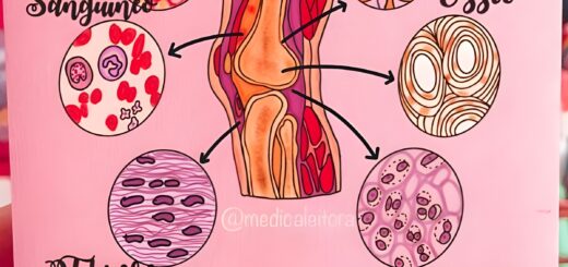 MAPA MENTAL SOBRE TECIDO CONJUNTIVO