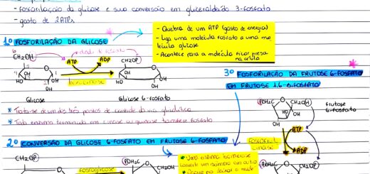 MAPA MENTAL SOBRE GLICÓLISE