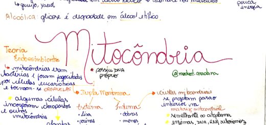 MAPA MENTAL SOBRE MITOCÔNDRIA