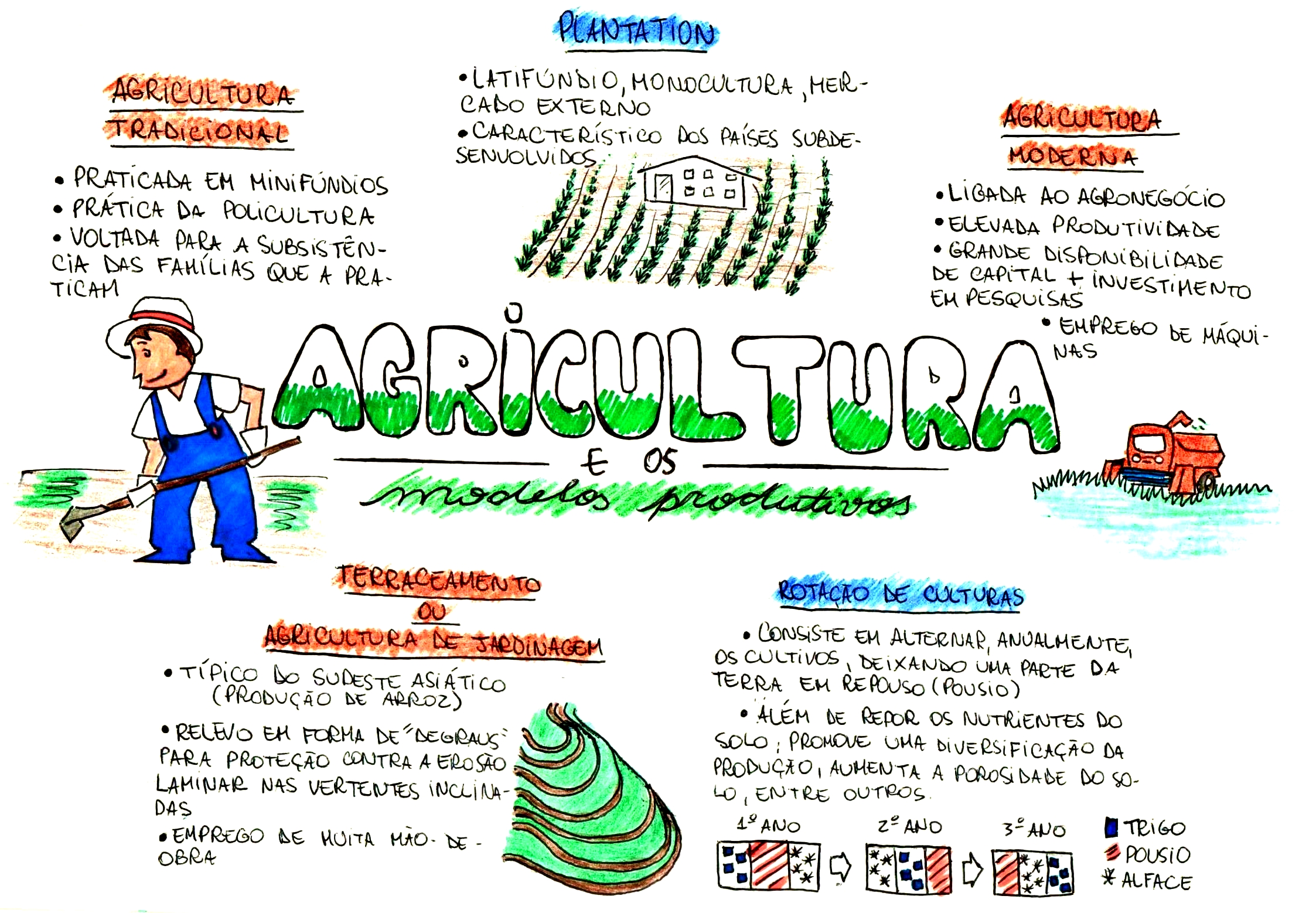 MAPA MENTAL SOBRE AGRICULTURA Maps4Study MAPA MENTAL SOBRE AGRICULTURA Maps4Study