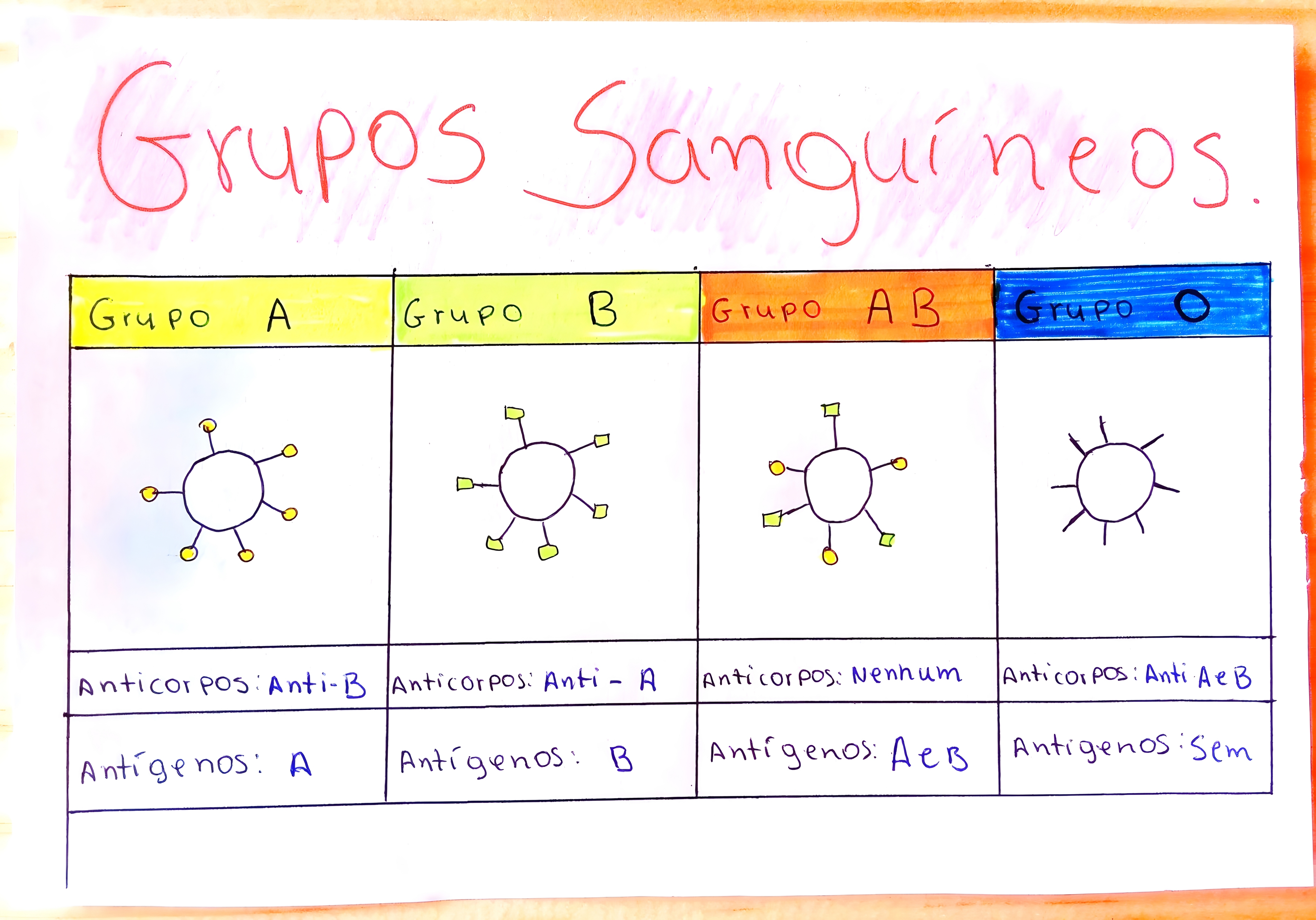 MAPA MENTAL SOBRE GRUPOS SANGUÍNEOS - Maps4Study