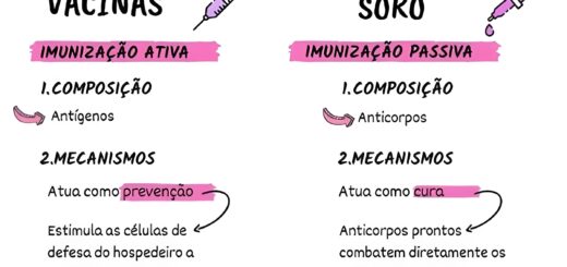 MAPA MENTAL SOBRE VACINAS E SOROS