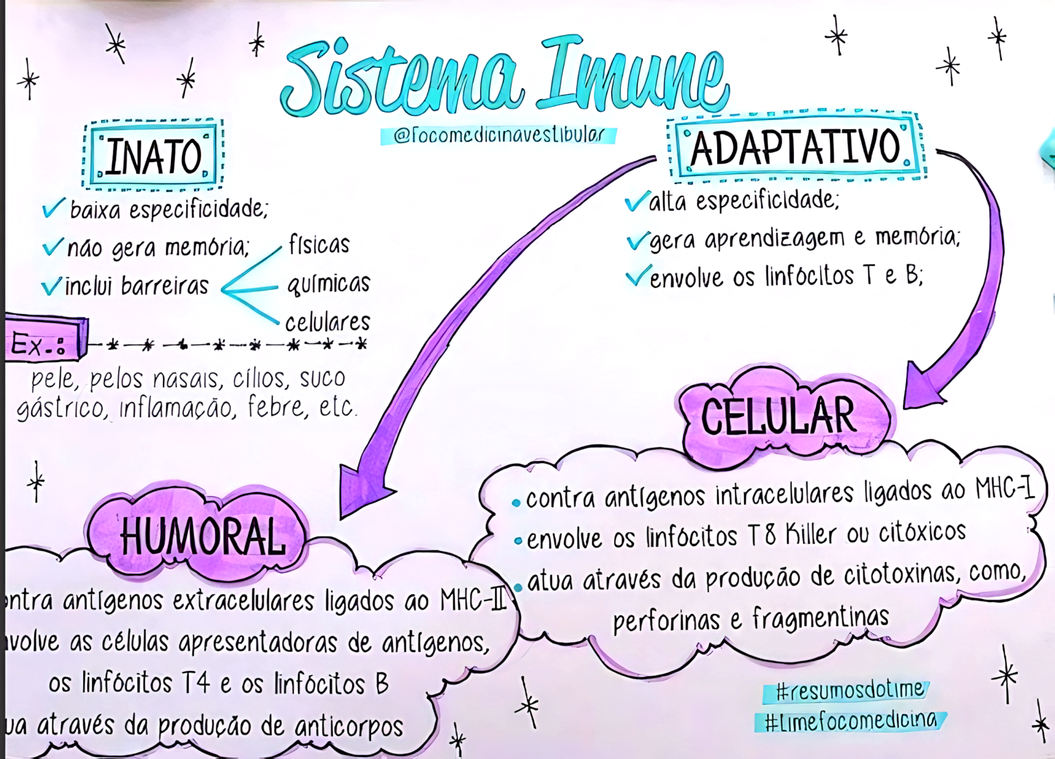 MAPA MENTAL SOBRE SISTEMA IMUNOLÓGICO - Maps4Study