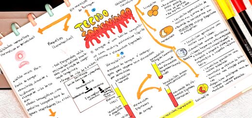 MAPA MENTAL SOBRE TECIDO SANGUÍNEO